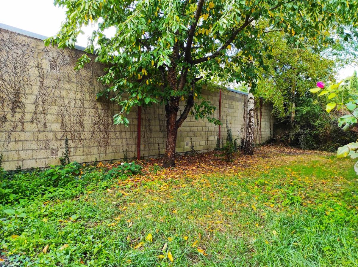 Maison avec jardin en centre ville - proche gare et circuit 24h du mans Le Mans Extérieur photo